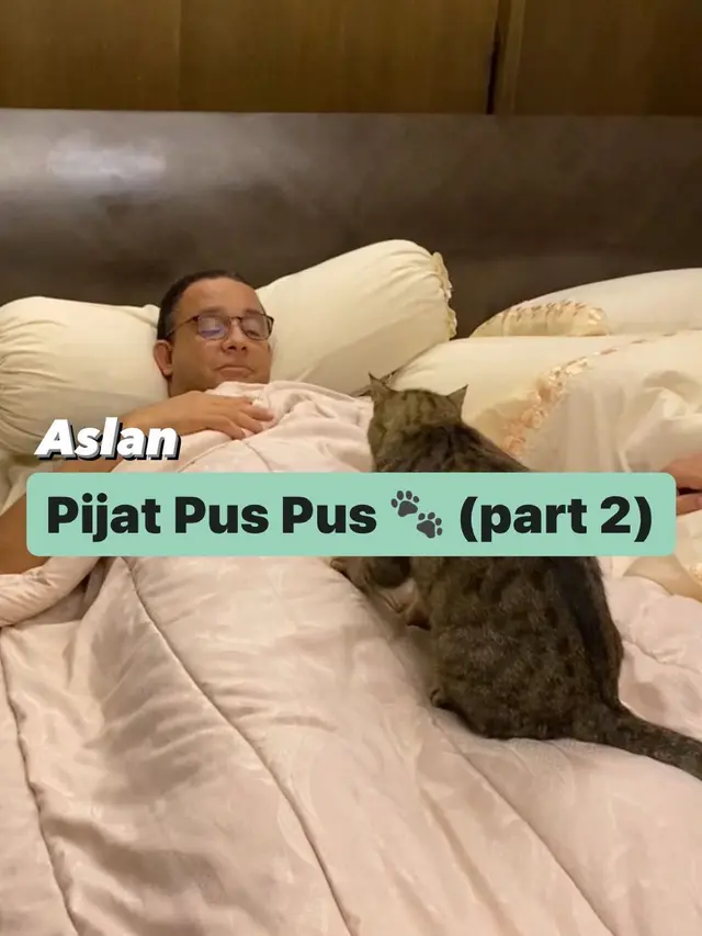 Anies Baswedan bareng kucingnya. (Tangkapan Layar Instagram @pawswedan)