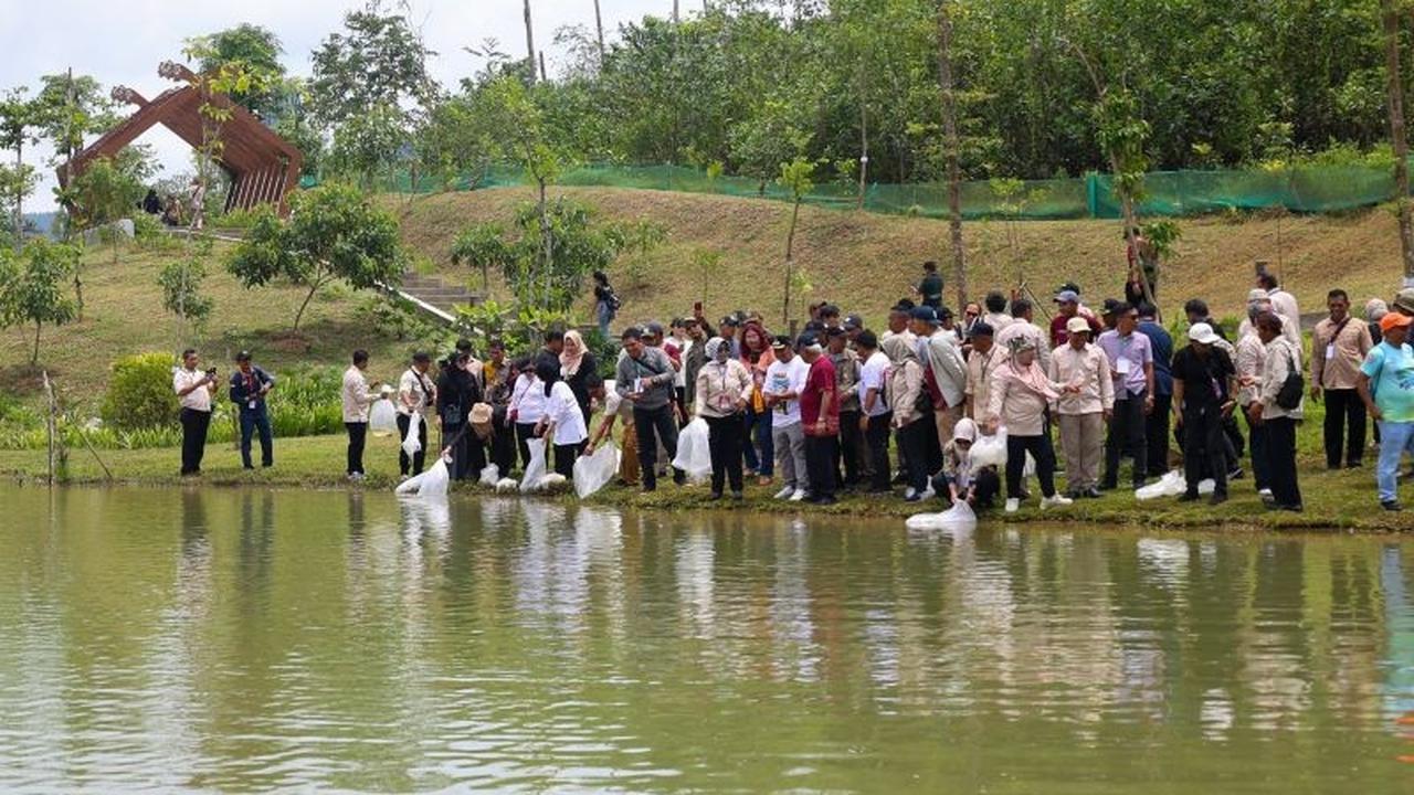 Pembangunan Embung IKN Perkuat Ketahanan Lingkungan dan Konsep Kota Spons di Nusantara