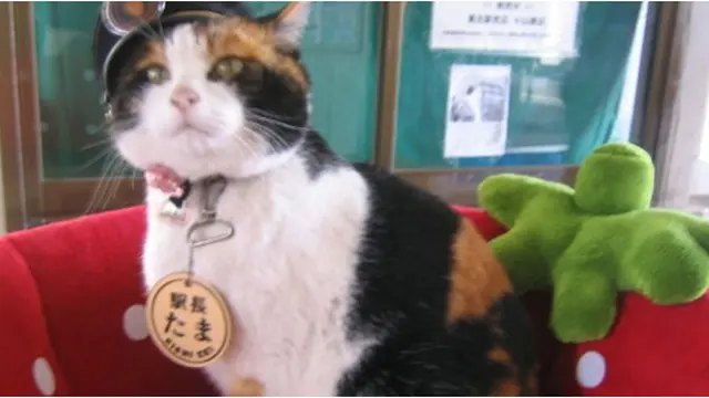 Courtesy ListVerse.com