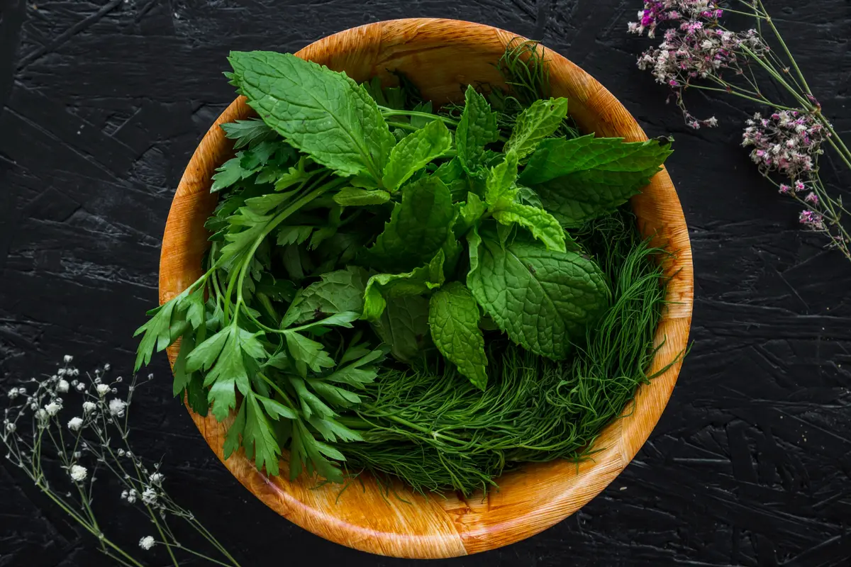 Herbs