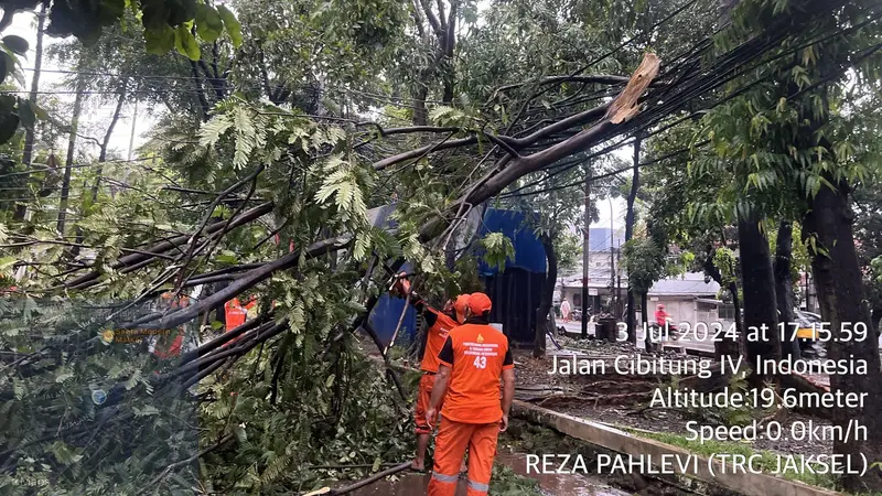 Pohon tumbang usai hujan deras di Jakarta, Rabu (3/7/2024).