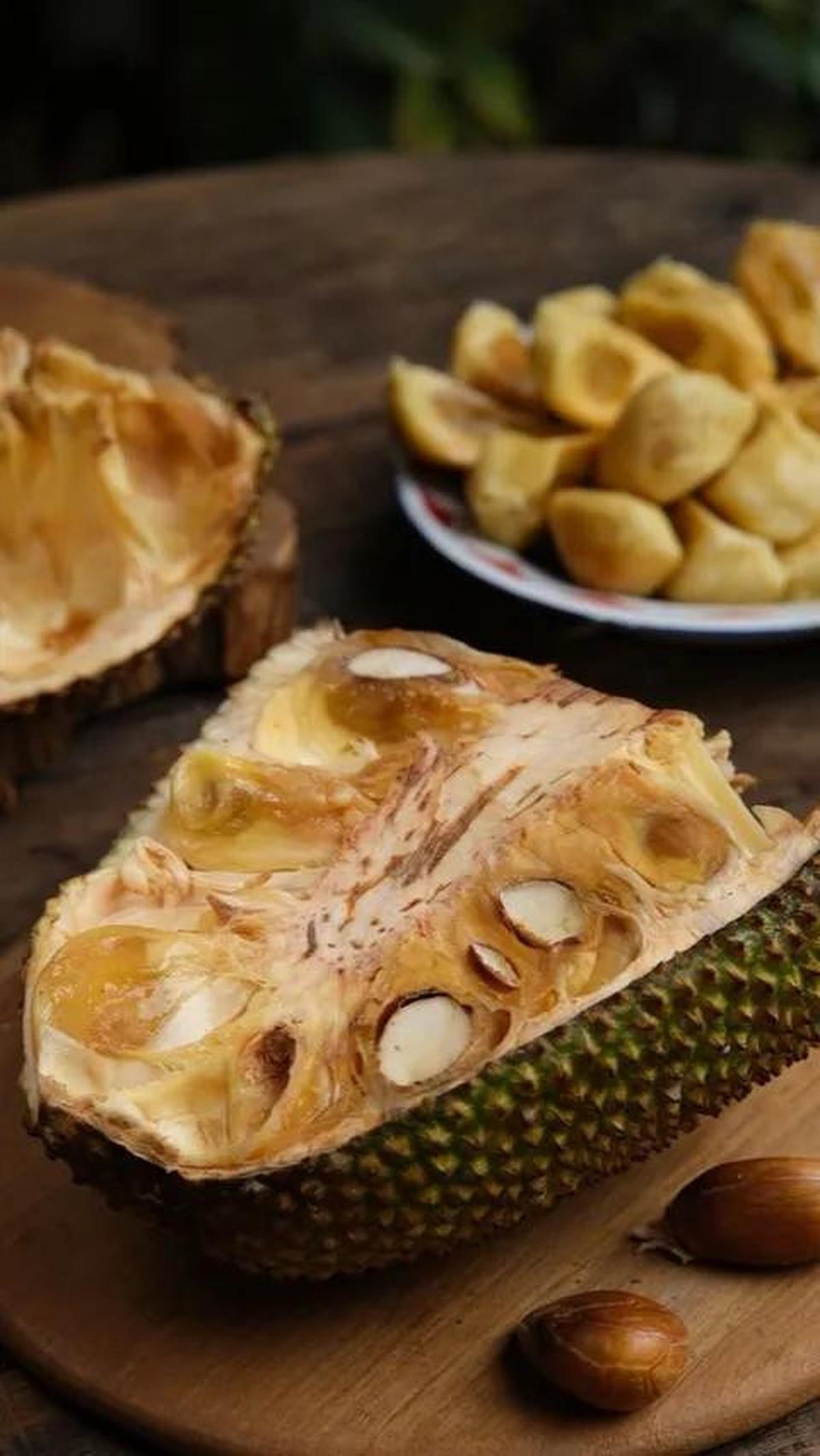 tekstur buah cempedak