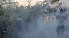 Kebakaran Way Kambas Meluas, Diduga Sengaja Dibakar