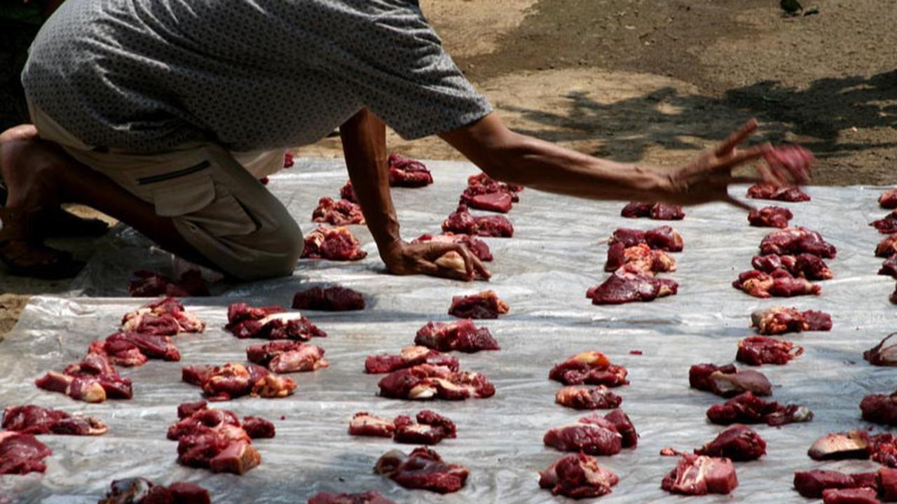 Ilustrasi Daging Kurban