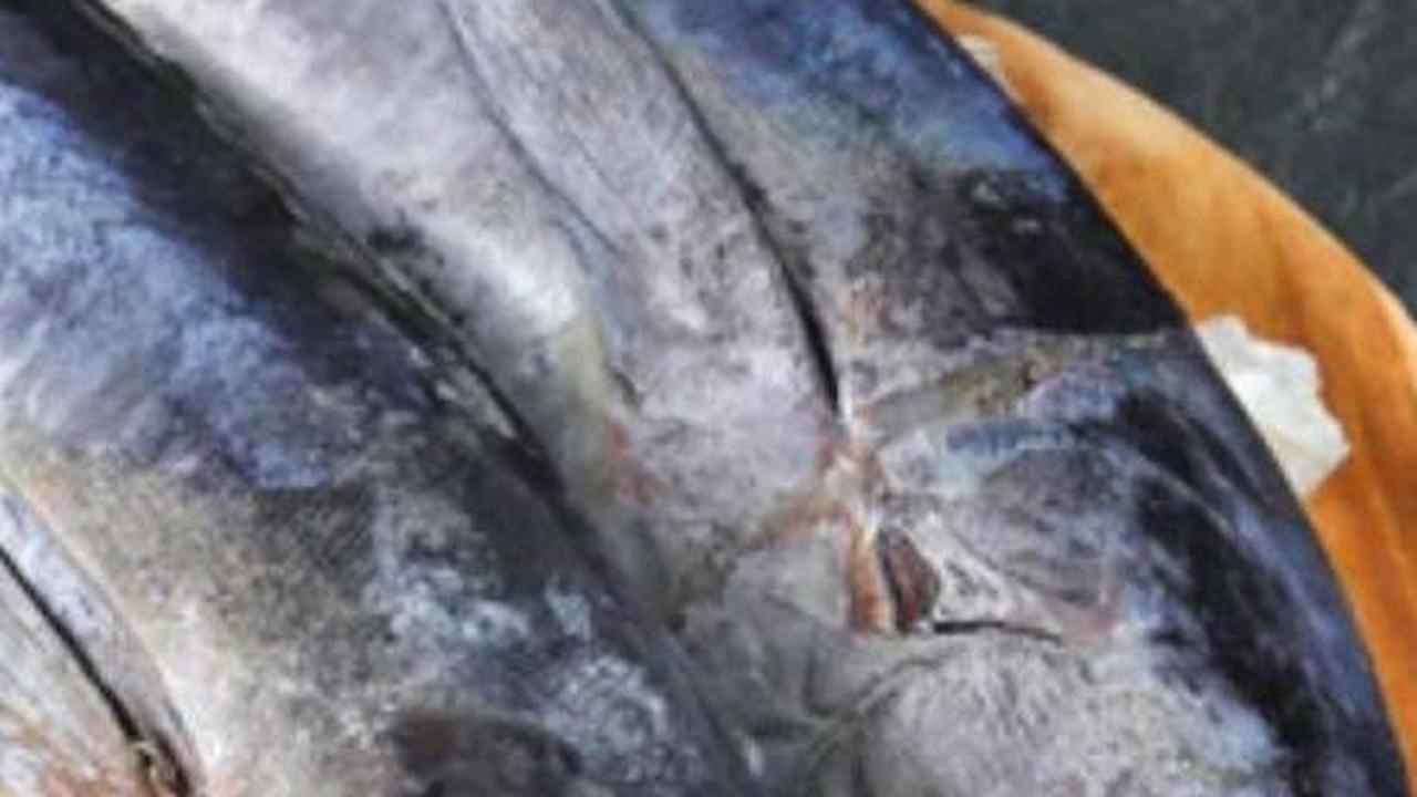 Selain itu, mengenali tanda-tanda ikan segar dan menghindari makanan lain yang mengandung merkuri juga merupakan langkah-langkah penting dalam menjaga kesehatan tubuh dan menghindari risiko keracunan.