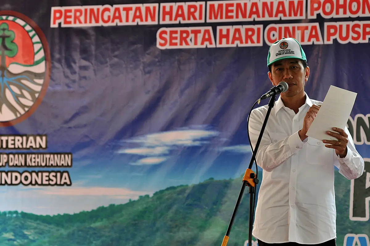 20151126-Melihat Jokowi Menanam Pohon di Hutan Kalimantan Selatan