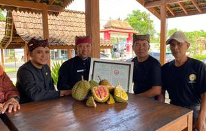 Durian Merah Banyuwangi resmi ditetapkan sebagai produk Indikasi Geografis (IG). Komoditas hortikultura khas Banyuwangi tersebut menjadi durian pertama di Indonesia yang memperoleh perlindungan IG. (Liputan6/Hermawan Arifianto)