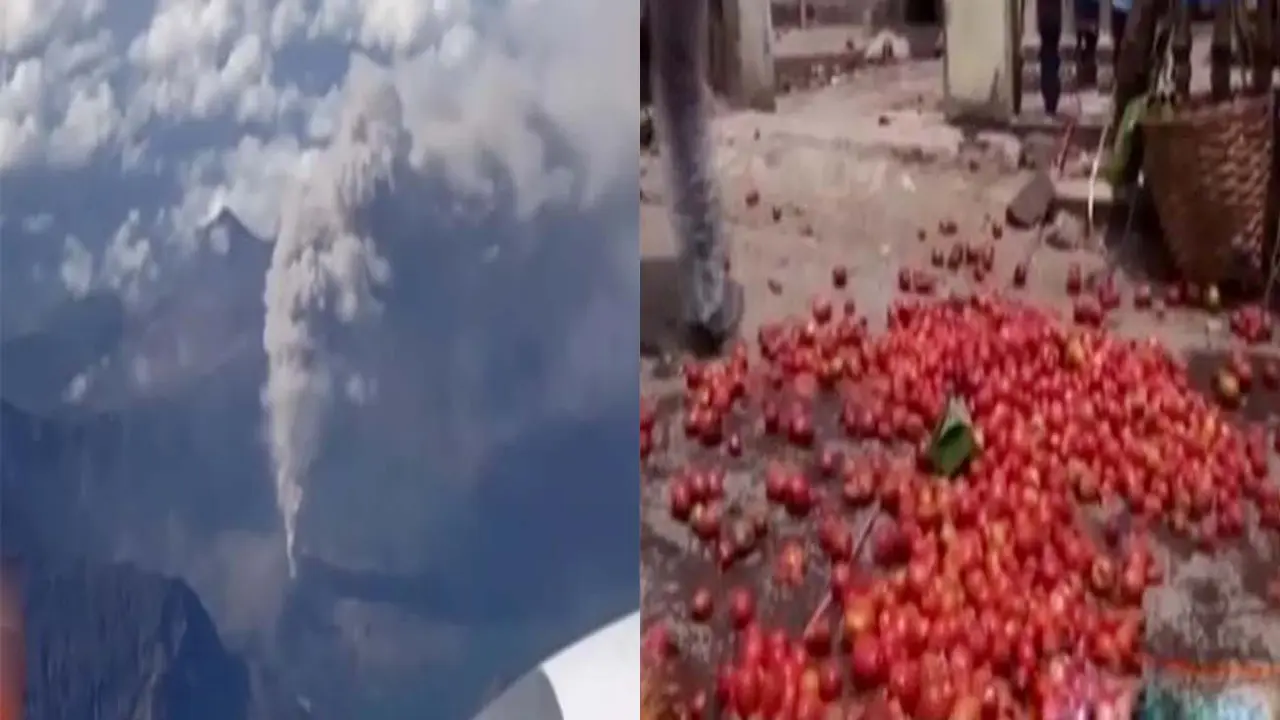 Erupsi Anak Gunung Rinjani hingga Tradisi Perang Tomat 