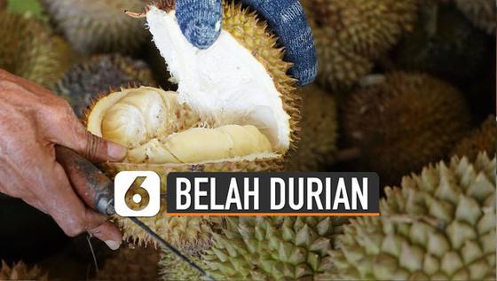 VIDEO: Tips Buka Durian Sendiri di Rumah