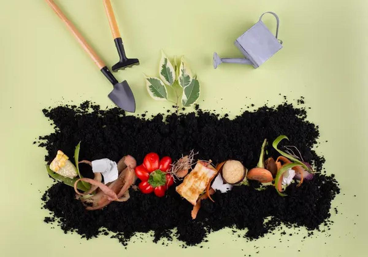 7 Jenis Sampah Rumah Tangga yang Bisa Mengundang Kehadiran Ular