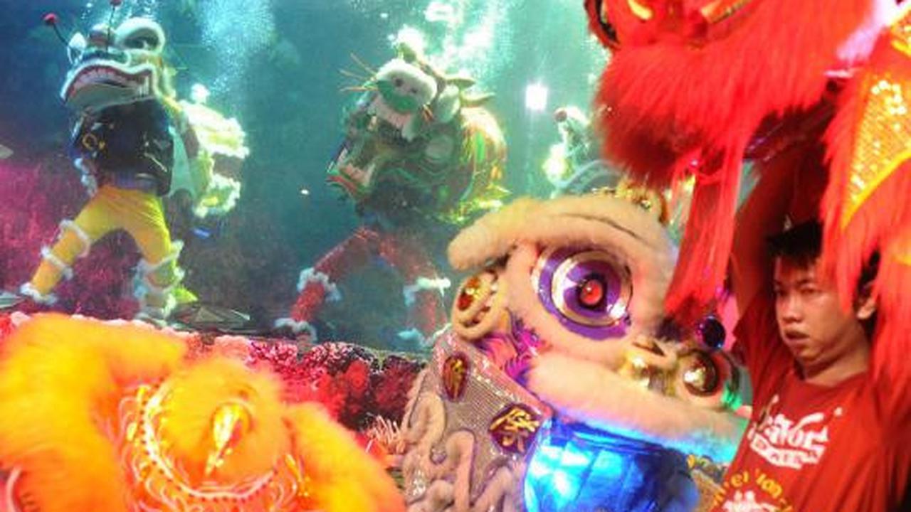 Atraksi Liong dan Barongsai hibur pengunjung Sea World Ancol