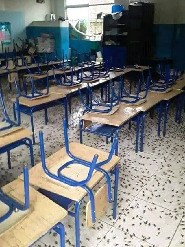 sekolah penuh dengan jangkrik