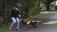 Aksi Ibu-Ibu Saat Dikejar Ayam, Pakai Tas Jadi Tameng