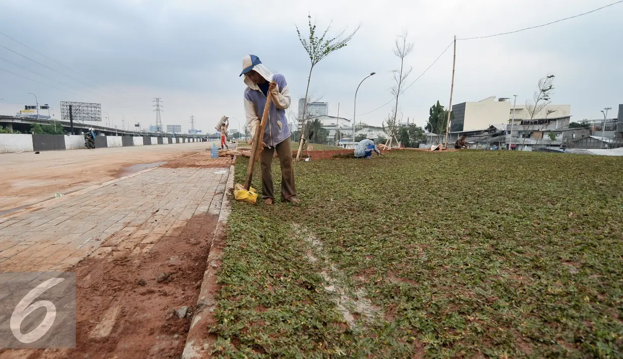 Pekerja menyelesaikan penanaman rumput di area Ruang Terbuka Hijau (RTH) di Kalijodo, Jakarta Barat, Sabtu (10/12). Pembangunan taman ini ditargetkan akan selesai akhir tahun 2017. (Liputan6.com/Yoppy Renato)