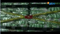 Petugas gabungan Satgas pangan mengerebek gudang beras yang mengemas ulang ratusan ton beras bersubsidi dengan kemasan baru.