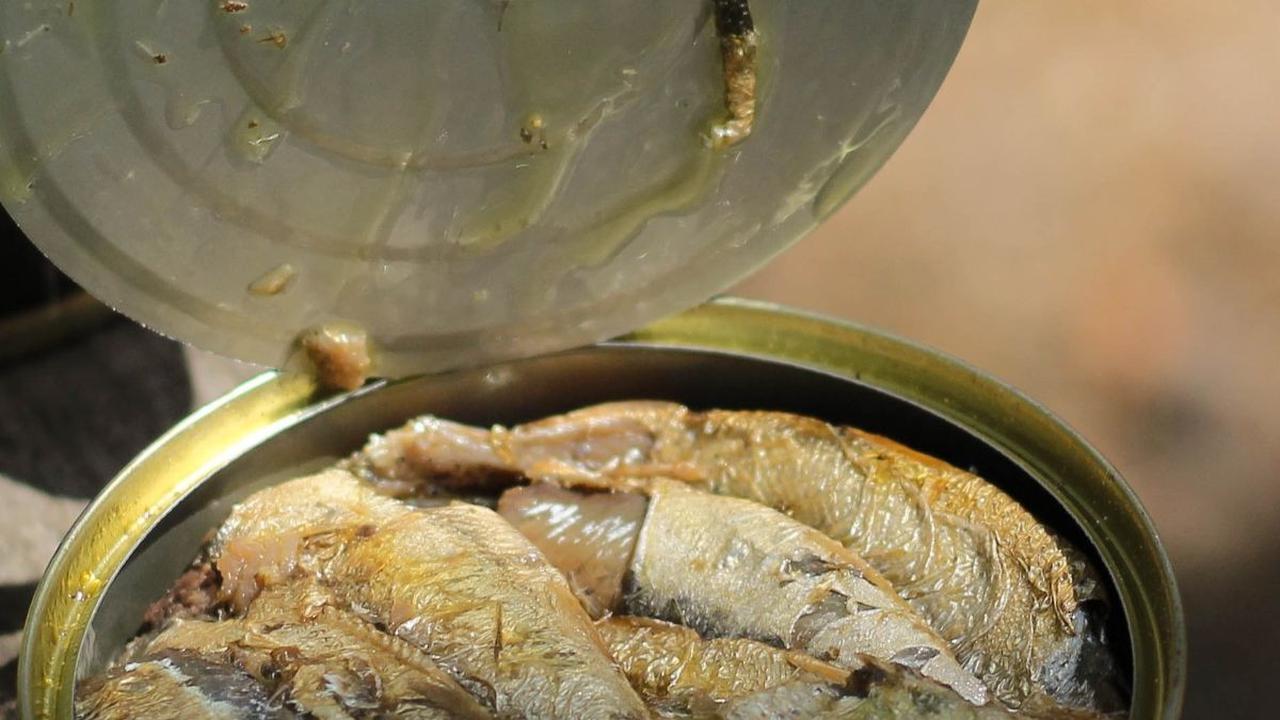 <b>Resep dan Cara Masak Sarden dengan Sayur Pilihan</b>