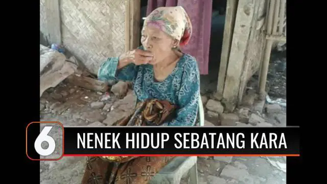 Seorang nenek berusia 75 tahun hidup sebatang kara dan dalam kondisi memprihatinkan di Subang, Jawa Barat. Selain tinggal di gubuk yang nyaris ambruk, nenek ini tidak pernah tersentuh bantuan sosial karena tidak adanya data kependudukan.