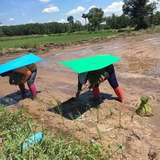 8 Potret Nyeleneh Orang Kerja Takut Terik Matahari Ini Kocak
