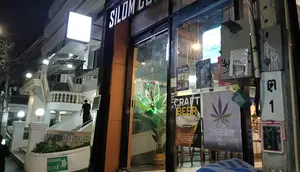 Laporan Liputan6.com dari Bangkok: Mengunjungi Kafe Ganja, 96% Pengunjung Turis Asing