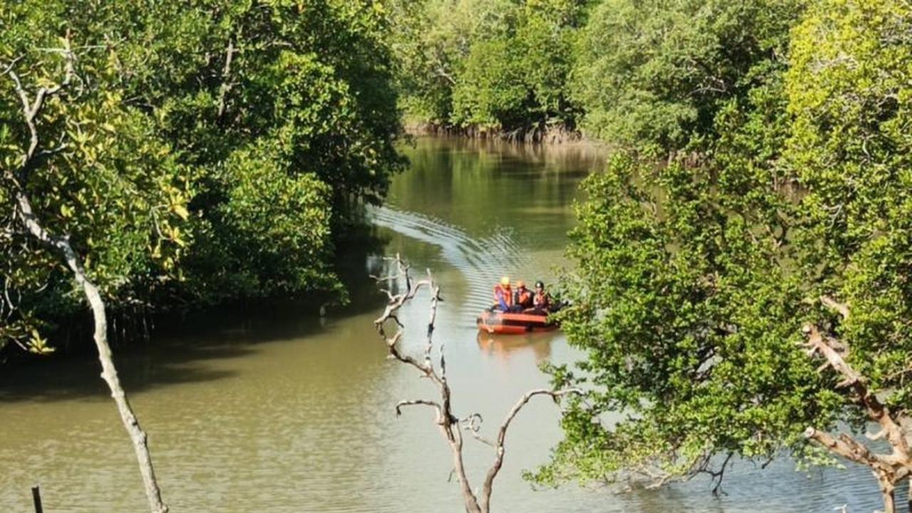 Misteri Sungai Kariangau: Pemancing Diterkam Buaya di Balikpapan Masih Dicari Tim SAR Gabungan