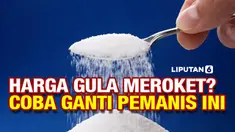 vertical gula