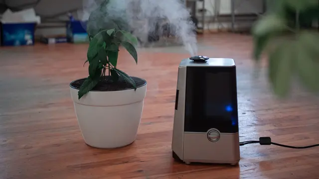 Ilustrasi humidifier | pexels.com