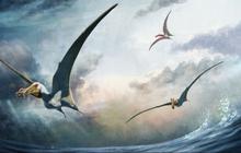 Ilmuwan Temukan Fosil Spesies Baru Dinosaurus Terbang Berusia 100 Juta Tahun, Kerangkanya dalam Kondisi Lengkap