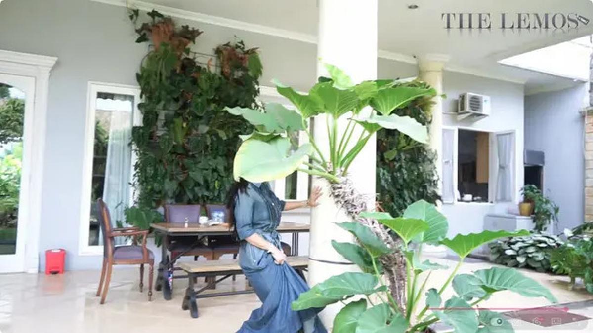 6 Potret Belakang Rumah Kris Dayanti di Jakarta yang Asri dengan Taman Hijau Tertata Rapi