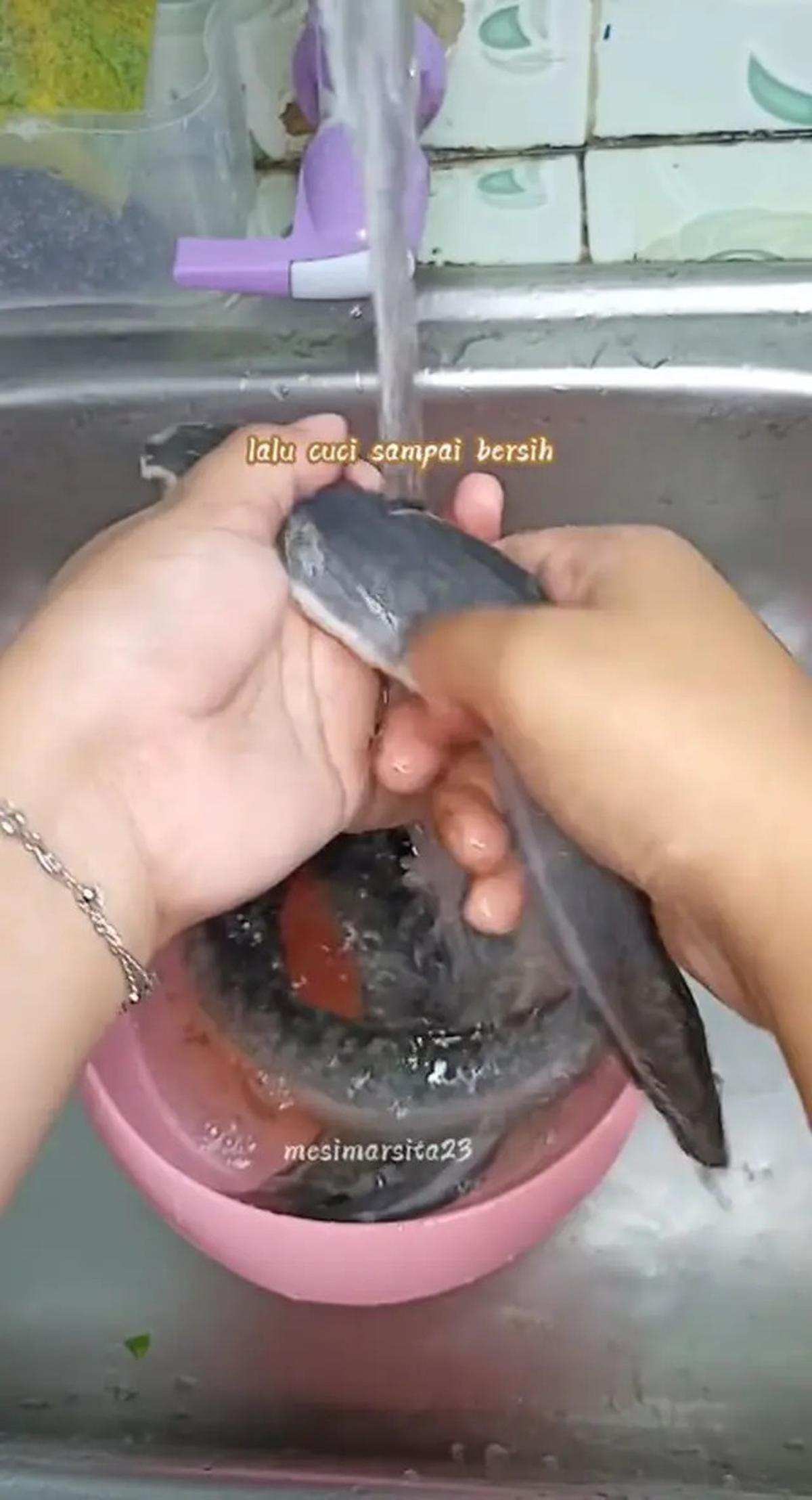 Cara Mudah Membuat Lele Goreng Tanpa Amis dan Lebih Renyah