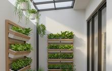 7 Inspirasi Model Kebun Sayur Dekat Teras Samping, Sempit tapi Rumah