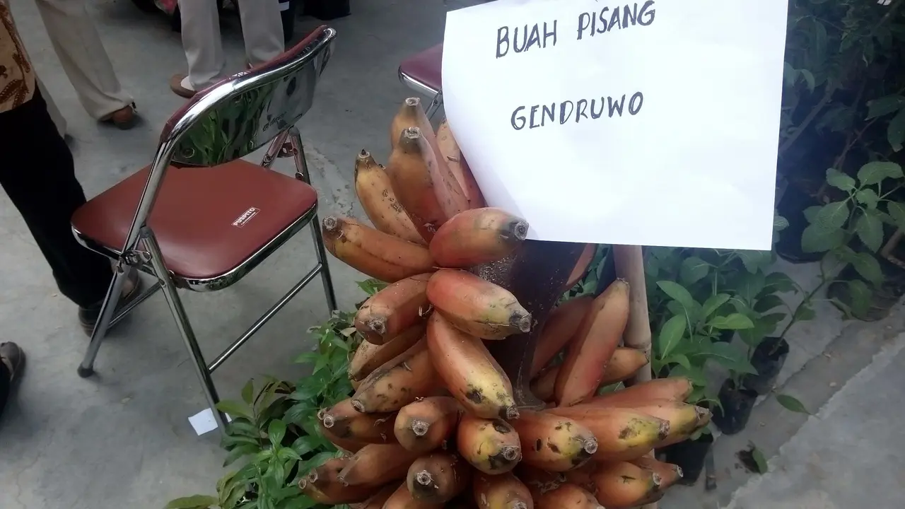 Pisang Genderuwo
