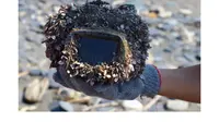 Dua Tahun Tenggelam di Laut, Kamera Ini Masih Bisa Berfungsi