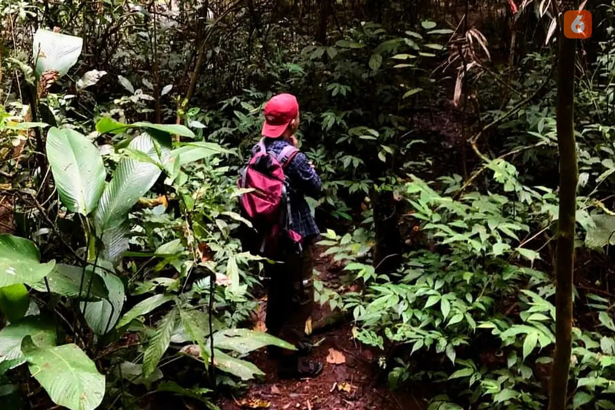 Forest Healing, Berbicara dengan Pohon hingga Memetik Bunga Liar untuk Redam Stres