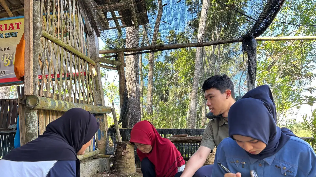 Proses pemilahan dan pengolahan sampah organik sebagai pakan maggot.