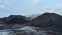 Tempat penampungan batu bara di Kawasan Berikat Nusantara (KBN) Marunda, Jakarta Utara, 3 Maret 2025. (Liputan6.com/Asnida Riani)