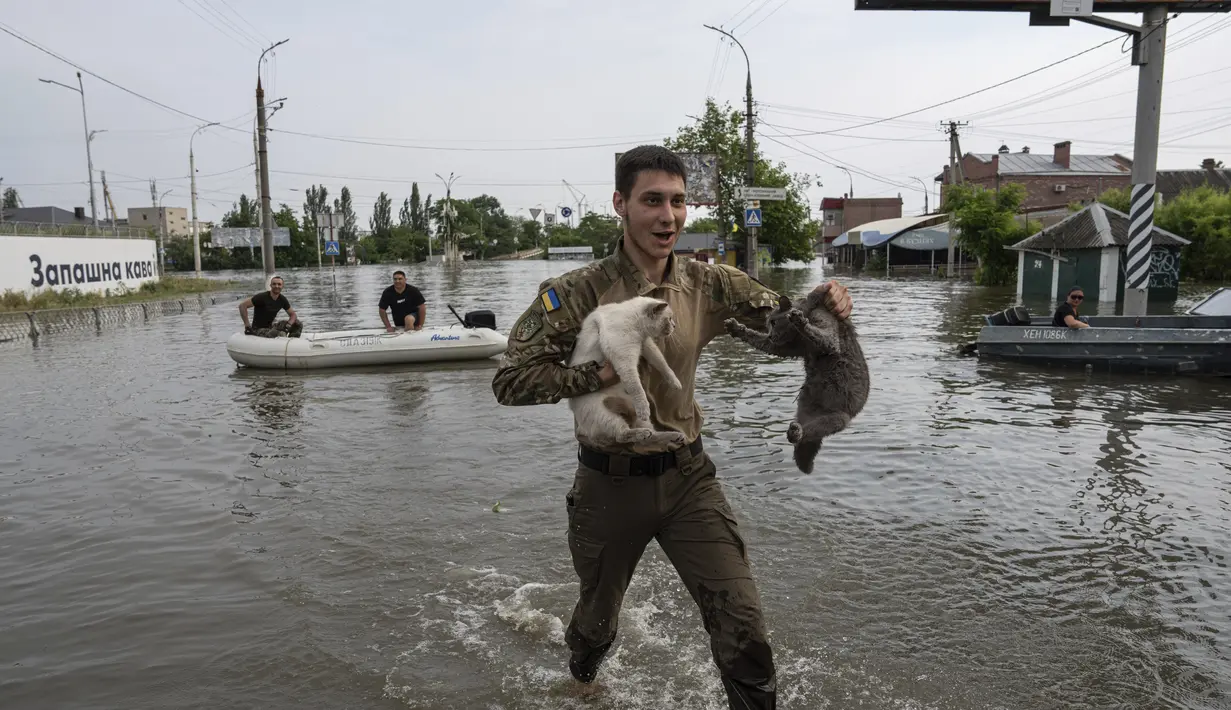 Seorang sukarelawan mengevakuasi kucing dari lingkungan yang banjir di Kherson, Ukraina, Rabu, 7 Juni 2023. (AP Photo/Evgeniy Maloletka)