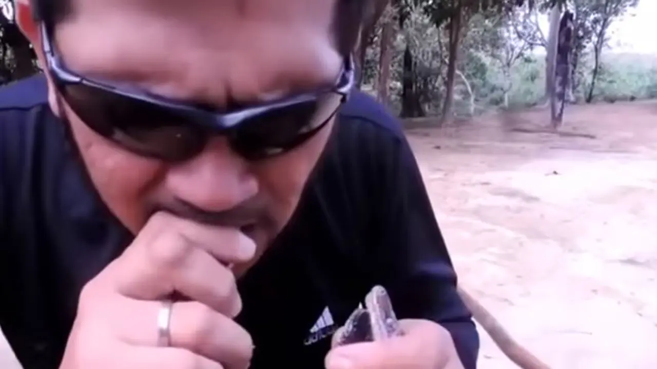 Tolak Aksi Penebangan Hutan, Pria Ini Masukkan 4 Ular ke Mulutnya