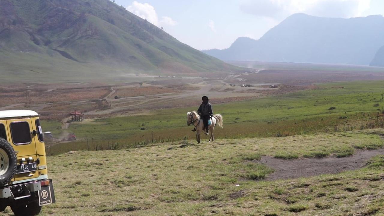 Vegetasi di Savana, kata Septi, perlahan-lahan mulai kembali pulih, walaupun belum terjadi hujan. Kondisinya masih tetap kering, sehingga potensi kebakaran harus diwaspadai.<br>