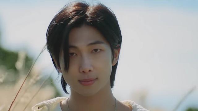 RM BTS dalam Wild Flower. (Tangkapan layar YouTube/ HYBE LABELS)