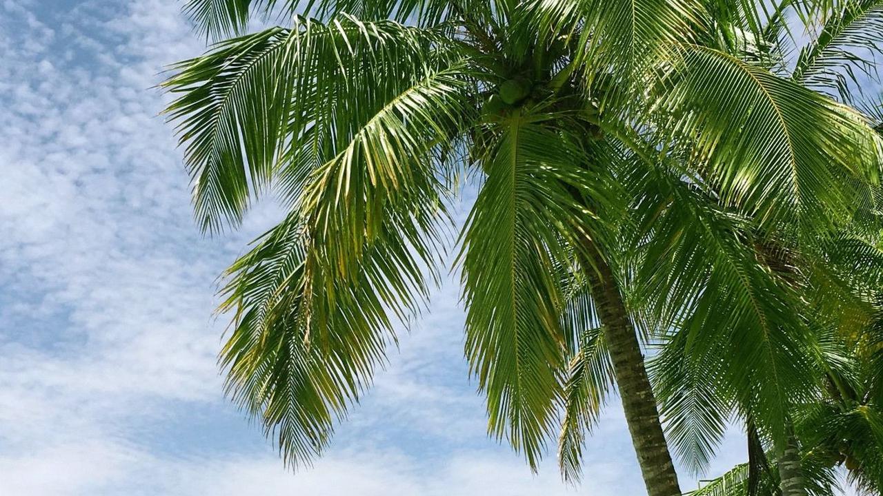 Wisata Pantai Anyer Terbaru dan Populer yang Wajib Disambangi, Ini Daftarnya