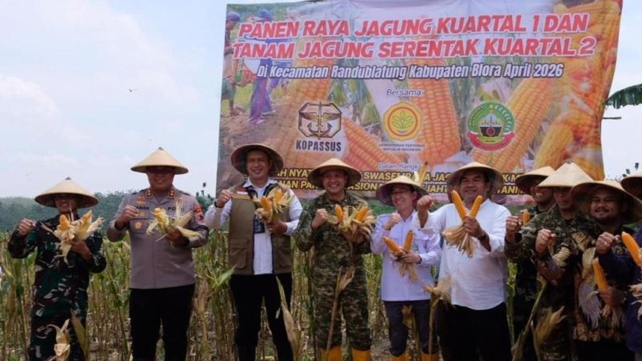 Bulog Komitmen Serap Seluruh Produksi Jagung Petani Blora untuk Pakan dan Bioetanol