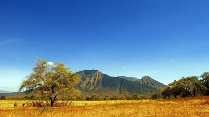 Taman Nasional Baluran, Afrikanya Tanah Jawa