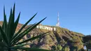 Pemandangan tanda ikonik Hollywood yang diubah menjadi Hollyweed  di Hollywood Hills, Los Angeles, Minggu (1/1). Ulah pelaku vandalisme  itu tertangkap kamera pengawas antara tengah malam hingga pukul 02.00 waktu setempat. (REUTERS/Kevork Djansezian)