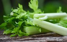 Manfaat Daun Seledri untuk Menurunkan Asam Urat dan Cara Pengolahannya
