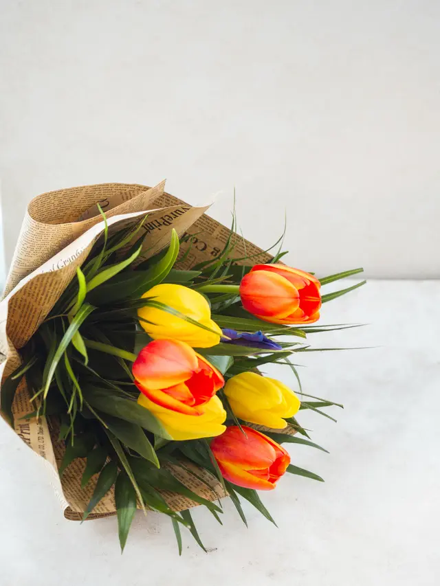 Ilustrasi Bunga Tulip