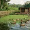 7 Cara Ternak Bebek Petelur Sambil Menanam Azolla di Kolam yang Sama, Hemat Pakan