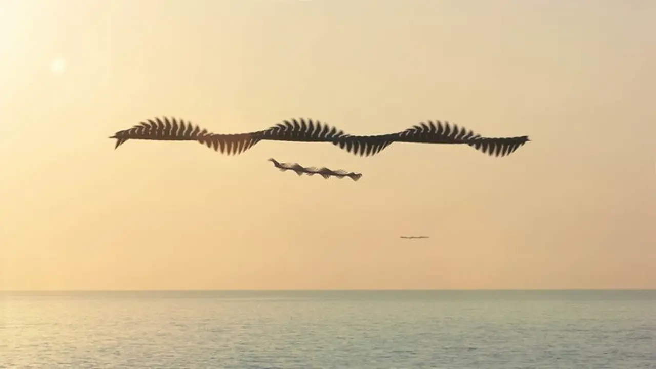 7 Foto Burung yang Menakjubkan, Jejaknya Sampai Terlihat