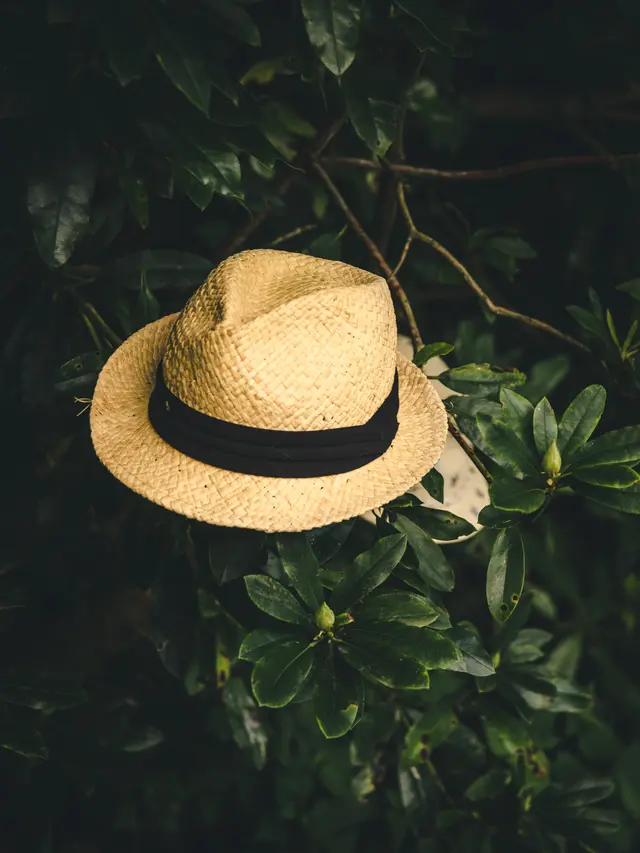 Ilustrasi topi