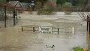 Kawasan Guerneville di California yang terkena hujan badai dan menyebabkan banjir, AS, Selasa (10/1). Banjir tersebut memicu dievakuasinya lebih dari 3.000 orang penduduk dalam semalam di wilayah Guerneville. (AP Photo / Eric Risberg)