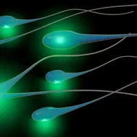 Mengenali Tanda-tanda Sperma Sehat